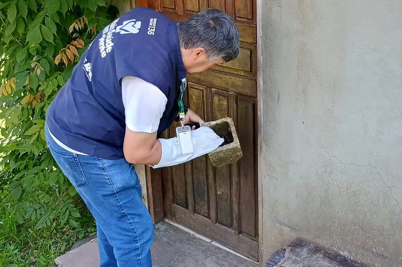 Vila Nadir registra aparecimento de escorpições e Vigilância Epidemiológica lança campanha de conscientização