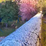 Com 1.3ºC, Campos do Jordão bate recorde de frio em 2026