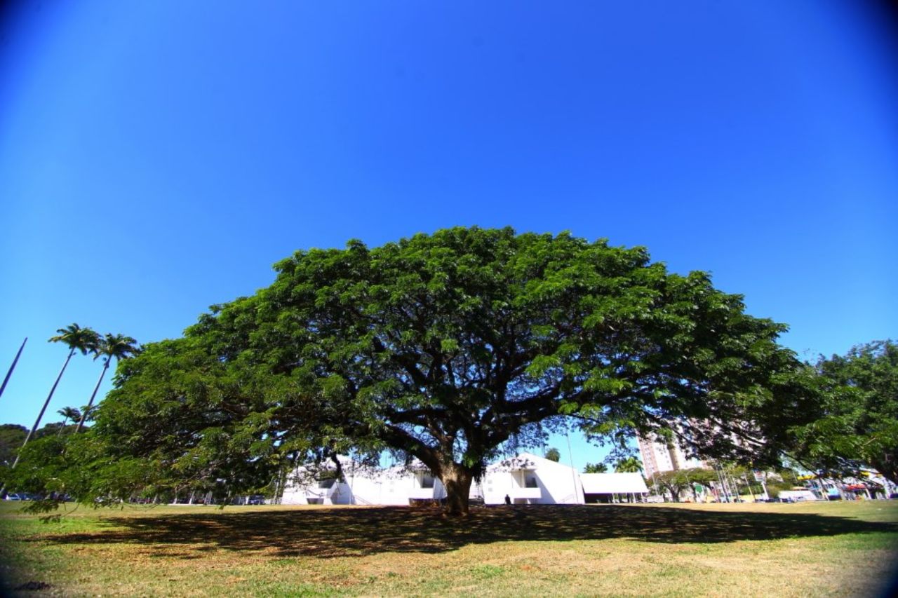 São José dos Campos Lidera Iniciativa Inovadora para Cidades Carbono Neutro