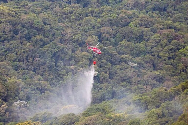 Operação SP Sem Fogo terá monitoramento de queimadas em tempo real