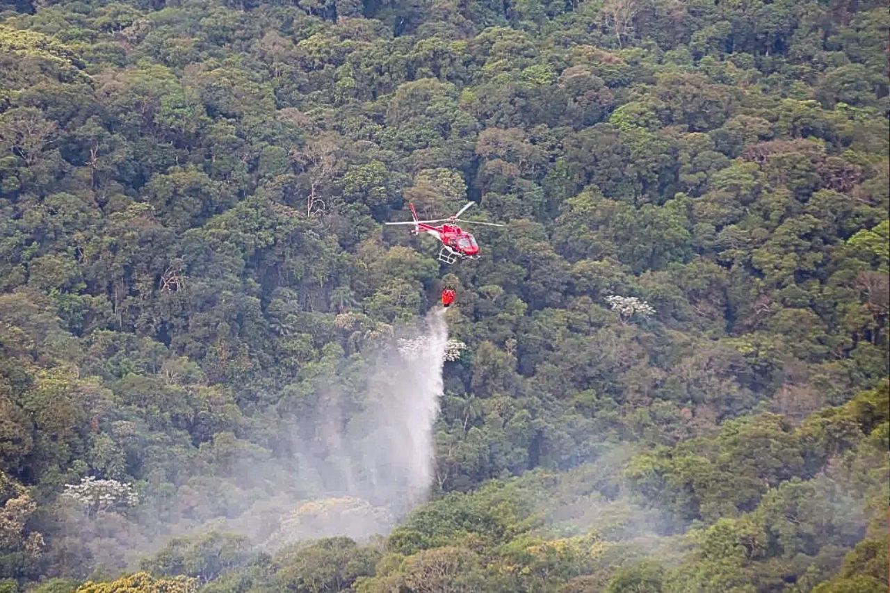 Operação SP Sem Fogo terá monitoramento de queimadas em tempo real