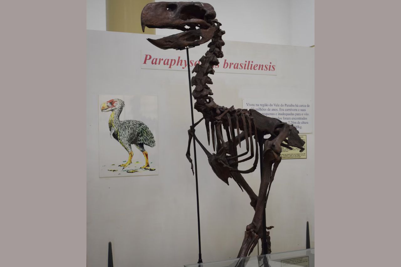 Os destinos em São Paulo para férias com dinossauros