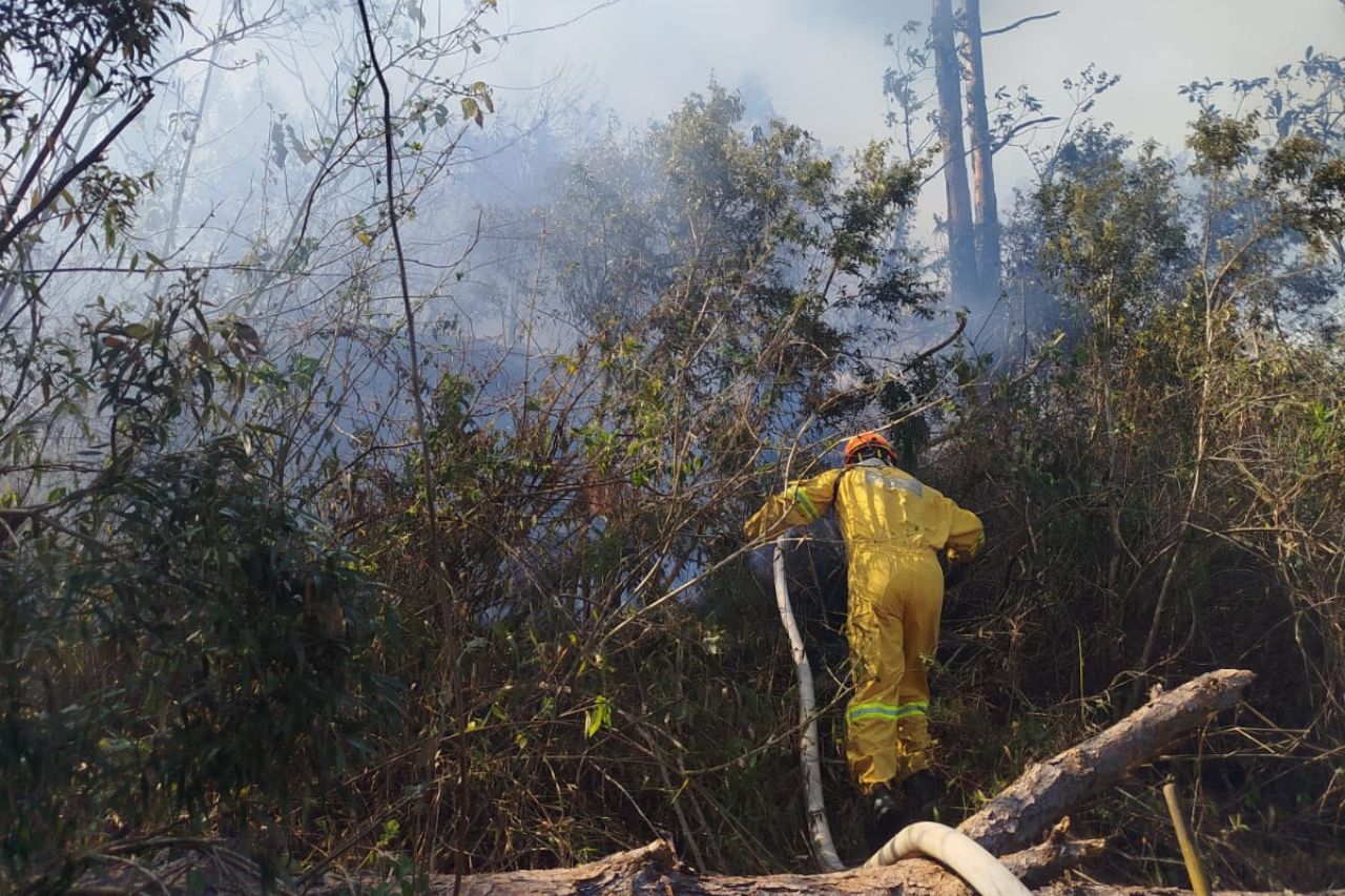 Incêndio florestal atinge região do Alto Lajeado, em Campos do Jordão
