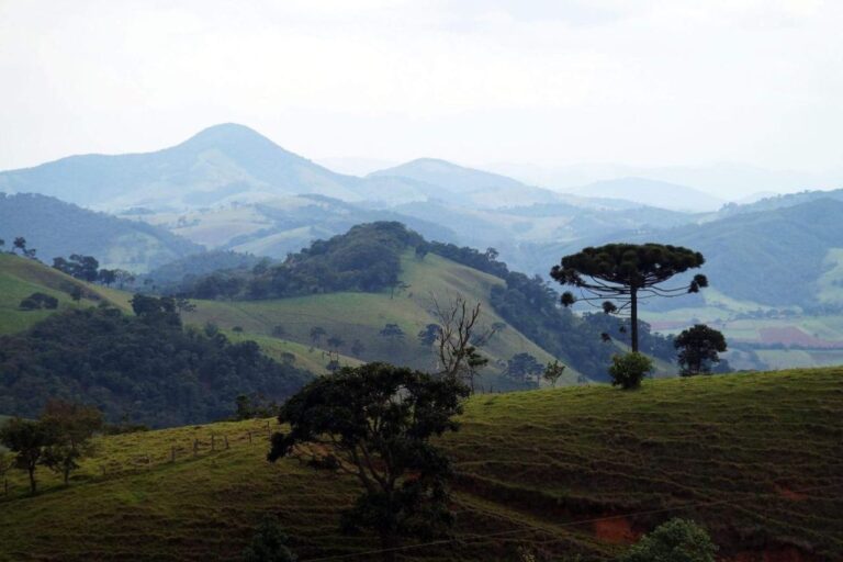 Caminho da fé: Vigilância Epidemiológica recomenda vacina contra a febre amarela