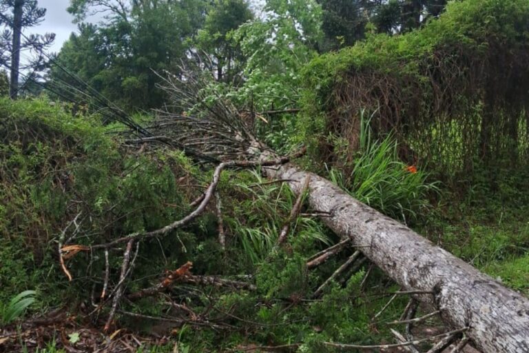 Chuvas causam transtornos em Campos do Jordão