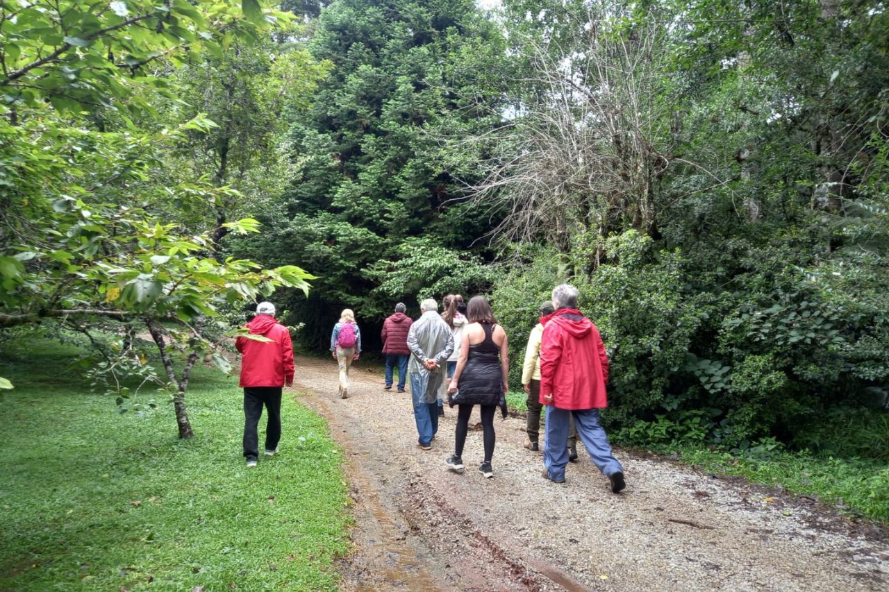 Parque da Cerejeira celebra Dia da Mulher com ações voltadas ao bem-estar