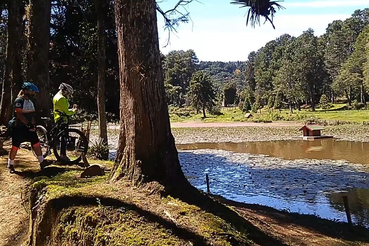 Campos do Jordão: refúgio da natureza