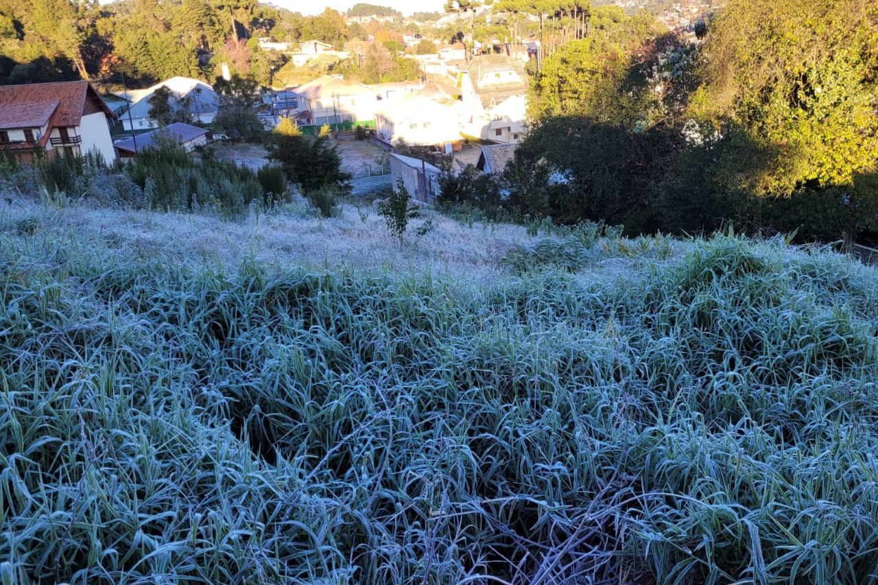 Abaixo de zero! Campos do Jordão registra temperatura negativa e forte geada