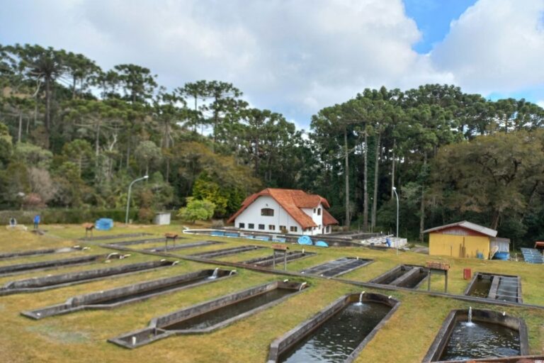 Núcleo de Salmonicultura em Campos do Jordão Celebra 60 Anos de Avanços e Contribuições à Pesquisa Nacional
