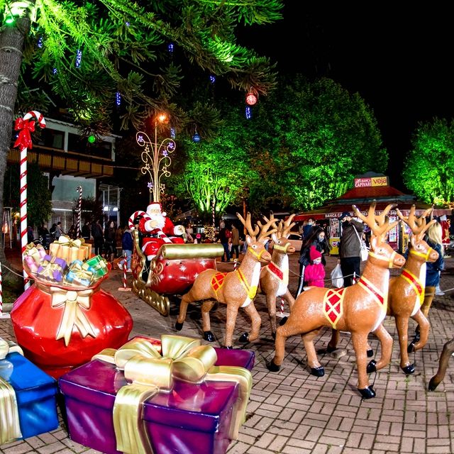Decoração de Natal atrai público para Campos do Jordão no Final de Ano