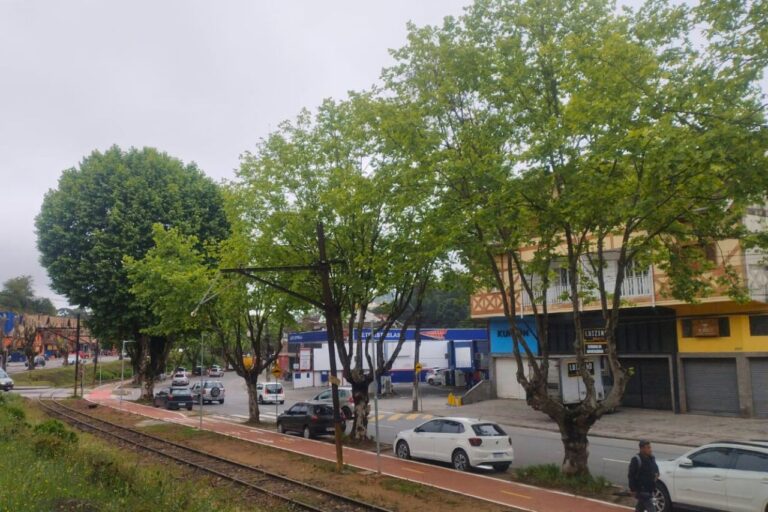 Início da semana tem clima frio, neblina e chuvas isoladas em Campos do Jordão e em várias áreas do Sudeste