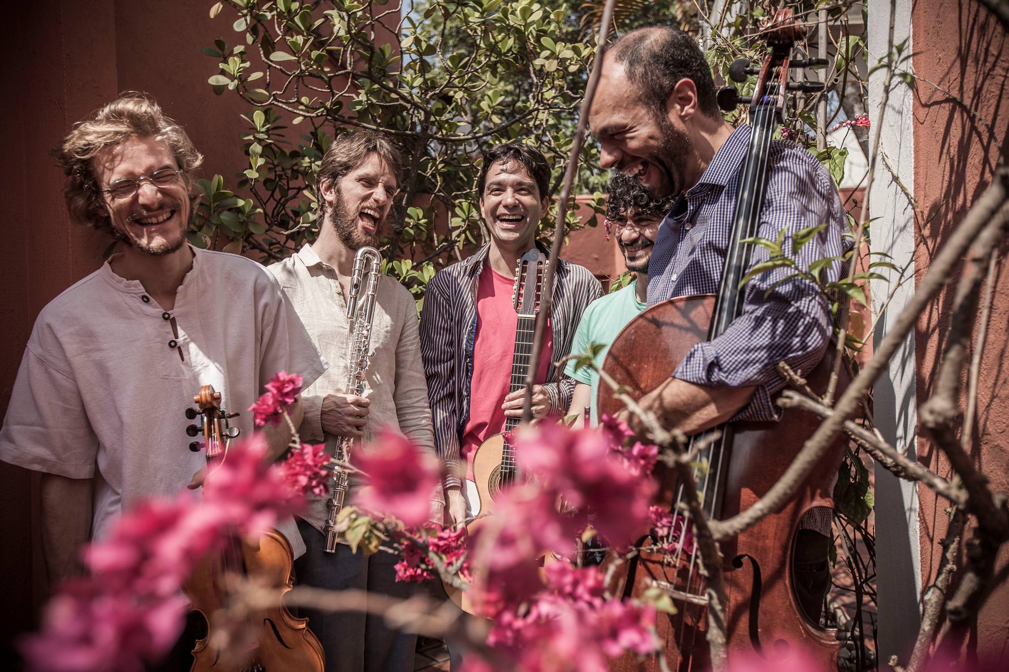 quinteto-aralume