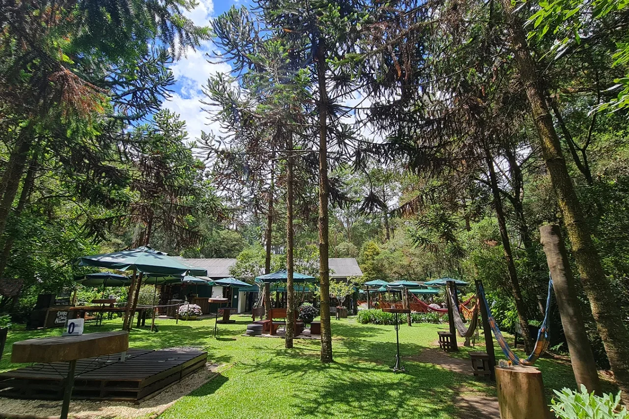 Férias de Verão em Campos do Jordão – Parque do Horto Florestal