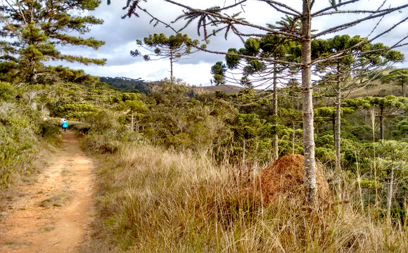 trilha-horto-florestal-2