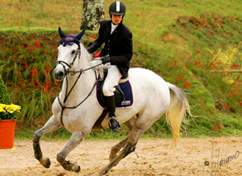 Haras Polana promove Concurso Hípico e Leilão de cavalos em Campos