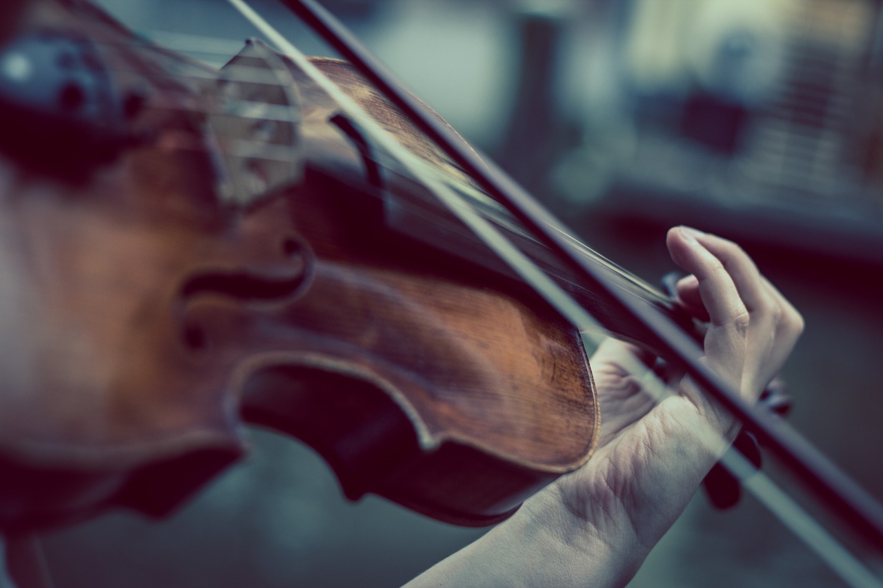 violino-10