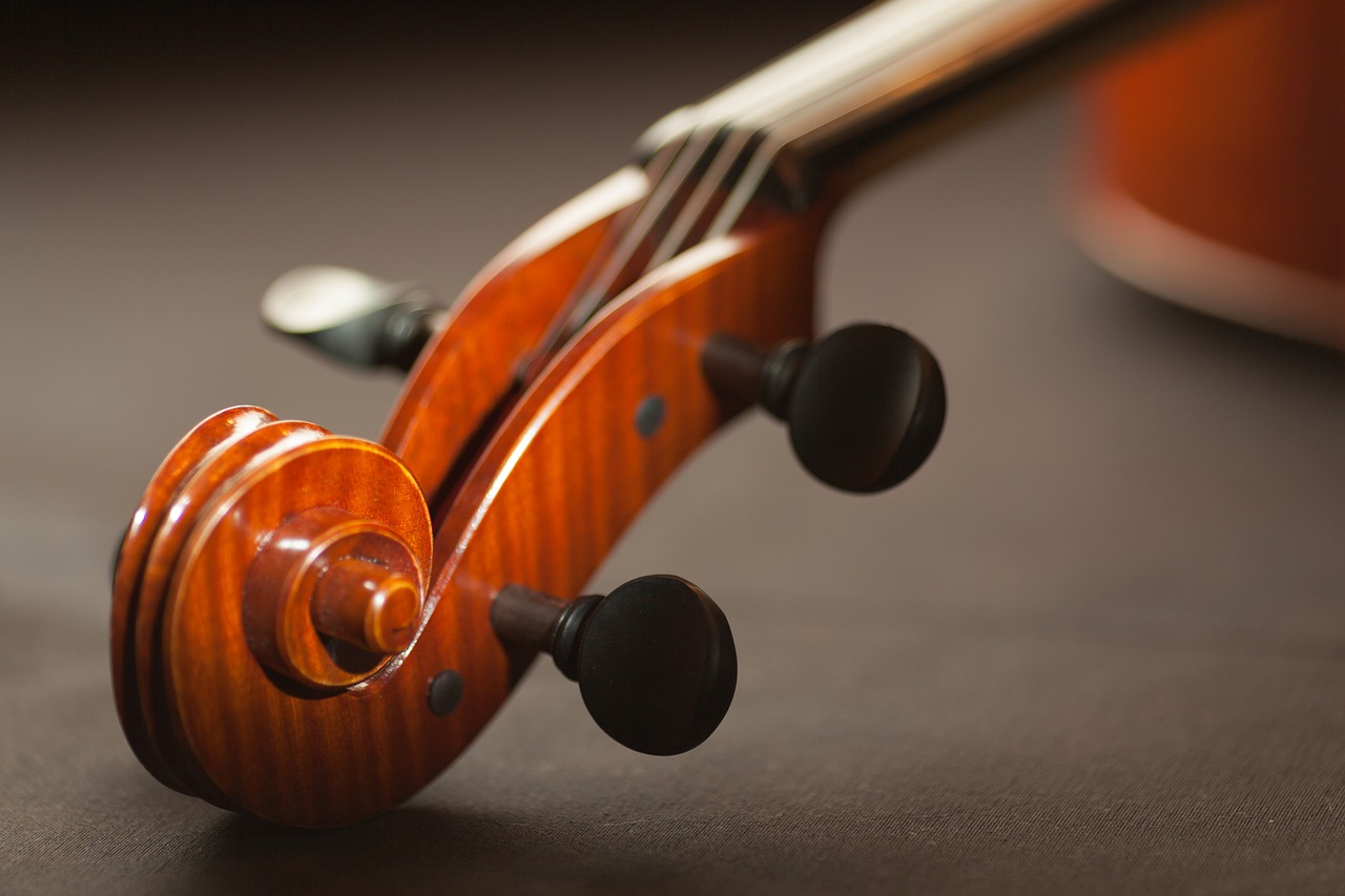 violino detalhe