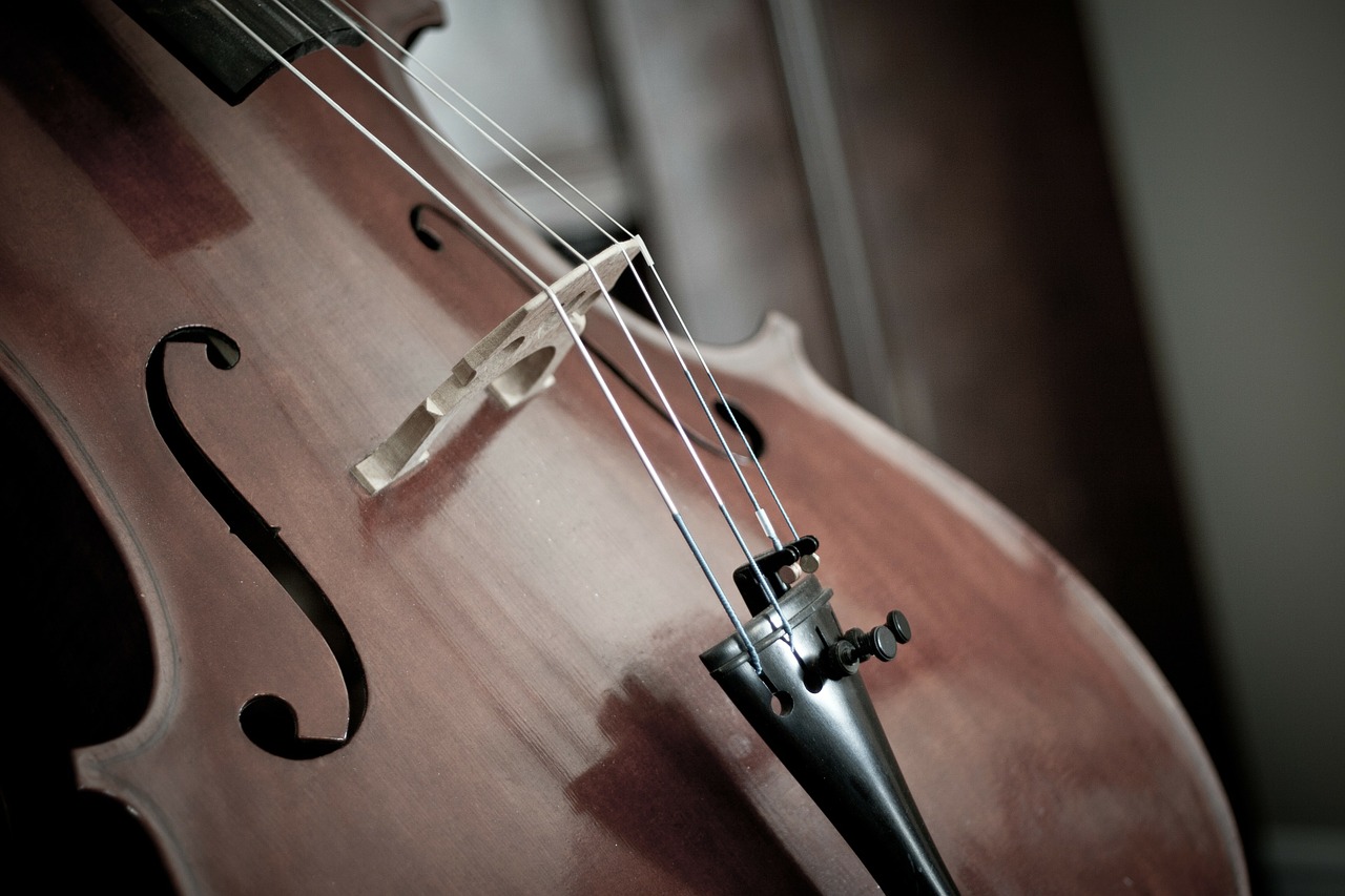 violoncelo